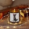 Punky Dog Scented Coconut Apricot Candles (4oz, 9oz) - Image 132